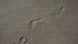 Read more about the article How to Protect Your Digital Footprint from Government Monitoring