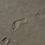 How to Shield Your Digital Footprint and Stay Anonymous